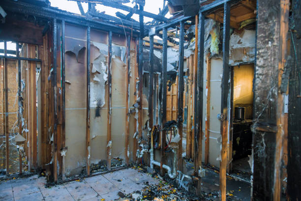 Professional Smoke Damage Removal technician working in Cheltenham, PA